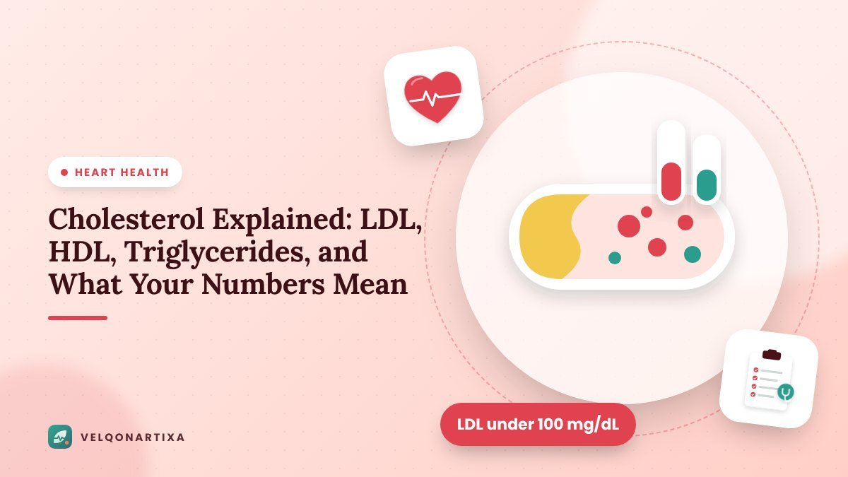 Illustration of an artery with cholesterol particles and two lab test tubes